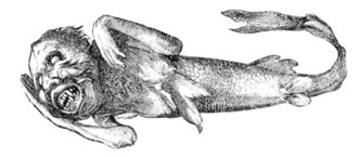 Sirenas, chupacabras y dragones en el  Museo Americano de Historia Natural
